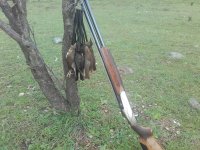 20181125_100510.jpg