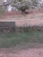 20210924_071354.jpg