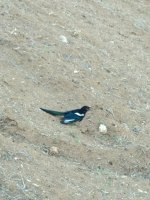 IMG_20210928_183103.jpg
