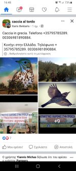 Screenshot_20211002-164844_Facebook.jpg