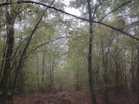 IMG_20211010_094259.jpg