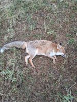 IMG_20211010_084333.jpg