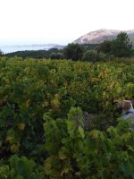 εικόνα_Viber_2021-10-11_07-47-00-224.jpg