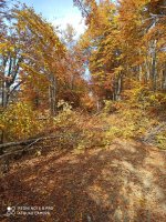 IMG_20211023_111912.jpg