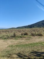 IMG_20211028_153230.jpg