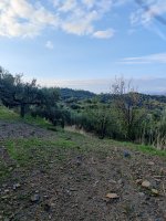 IMG_20211030_090331.jpg