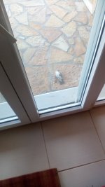 IMG_20211031_083253.jpg