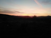 IMG_20211106_064655.jpg