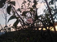 IMG_20211106_065638.jpg