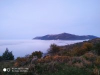 IMG_20211106_063808.jpg