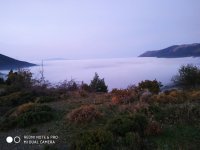 IMG_20211106_063752.jpg