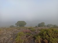 IMG_20211107_083732.jpg