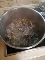 IMG_20211107_200043.jpg