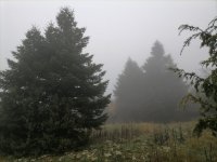 IMG_20211110_084734.jpg