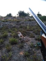 εικόνα_Viber_2021-11-11_17-46-27-097.jpg