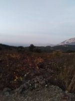 εικόνα_Viber_2021-11-12_18-07-43-029.jpg