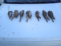 IMG_20211113_125720.jpg