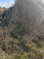 IMG_20211121_091049.jpg