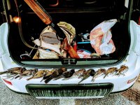 IMG_20211213_165250~2.jpg