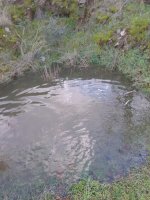 IMG_20211219_153036.jpg