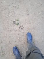 IMG_20211219_083509_1.jpg