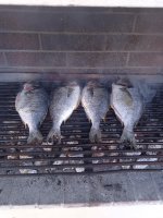 IMG_20211220_145435.jpg