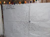 εικόνα_Viber_2021-12-25_10-47-10-602.jpg