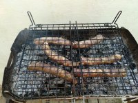 IMG_20211226_130435.jpg