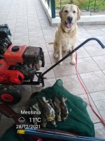 IMG_20211228_081446.jpg