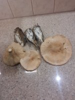 IMG_20220101_190403.jpg