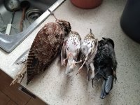 IMG_20220104_082013.jpg
