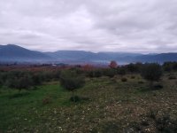 IMG_20220105_074638.jpg