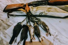 IMG_20220105_183003~2.jpg