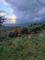 IMG_20220106_170616.jpg