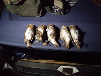 IMG_20220106_175247.jpg
