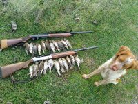 IMG_20220107_152410.jpg