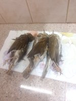 IMG_20220108_184333.jpg