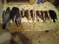 IMG_20220109_194948.jpg