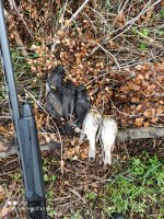 IMG_20220109_114113.jpg