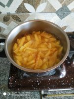 IMG_20220111_130013.jpg