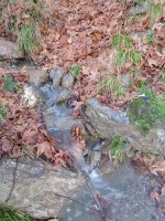 IMG_20220111_091254.jpg