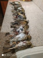 IMG_20220113_181305.jpg