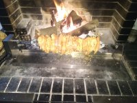 IMG_20220115_171053.jpg
