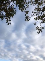 52C7631E-BBC8-4F06-8ECE-969B6158FFE7.jpeg