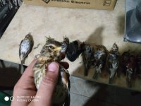 IMG_20220117_183145.jpg