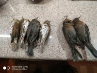 IMG_20220118_182539.jpg