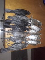 20220118_202707.jpg