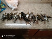 IMG_20220119_183456.jpg