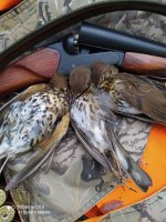 IMG_20220120_172705.jpg