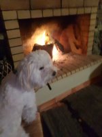 IMG_20220121_214141.jpg